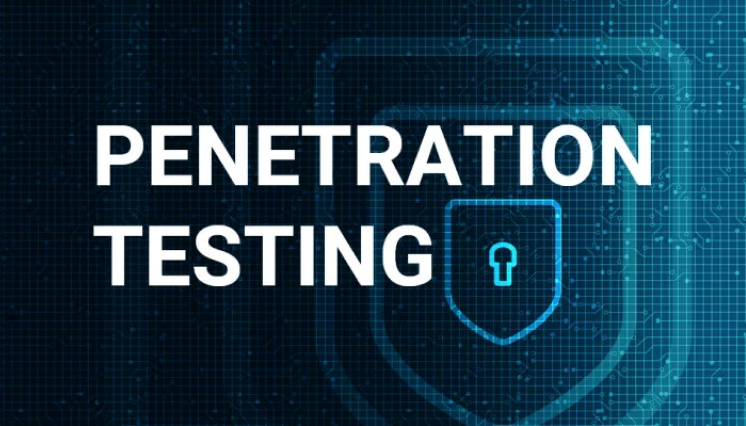 Penetration Testing Course